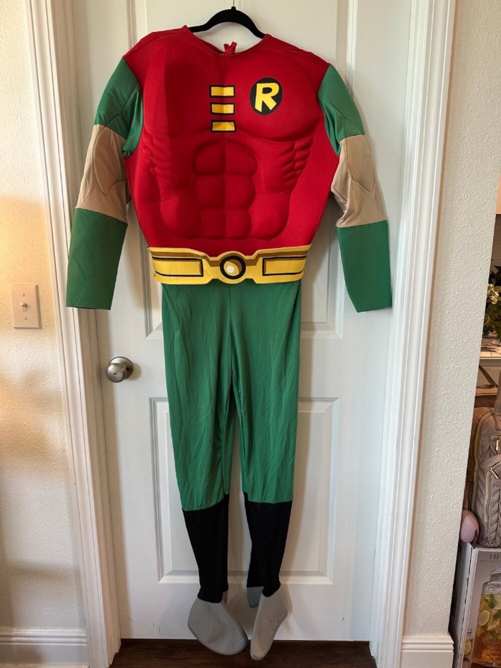 Robin Superhero Halloween Costume - Adult Size M